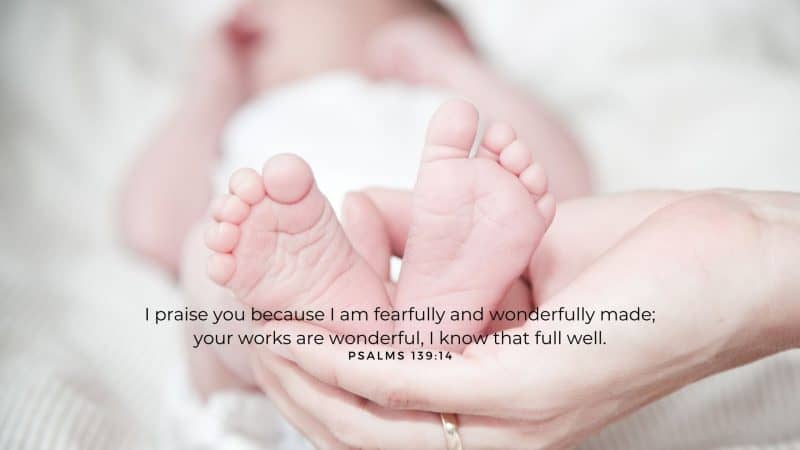 Be Magnified Psalm 139 verse 14
