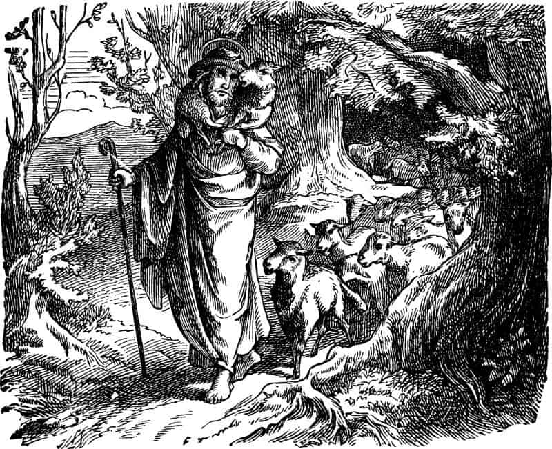 The parable of the lost sheep the shepherd returns with the sh