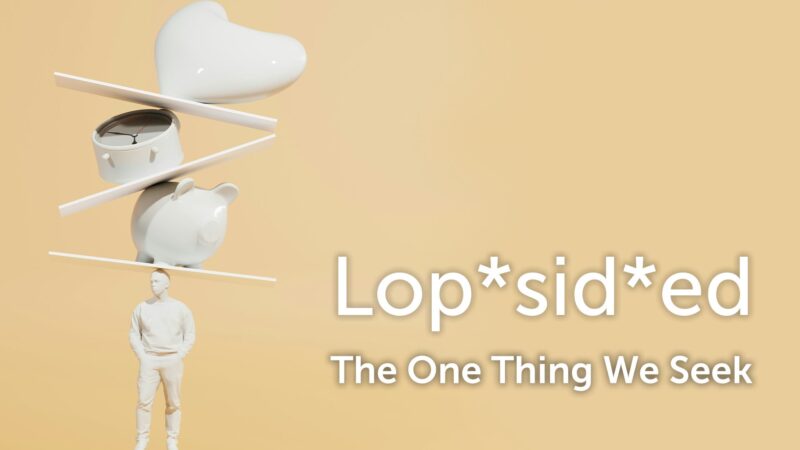 Lopsided - The One Thing We Seek.